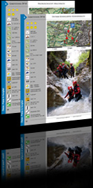 Free topos and description of the tour